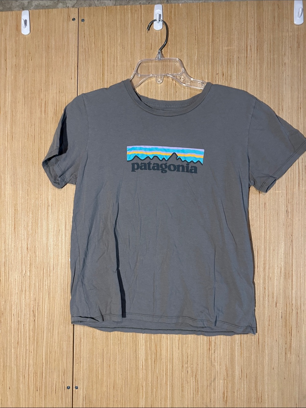 Patagonia Charcoal Tee with Multicolor Mountain Logo
